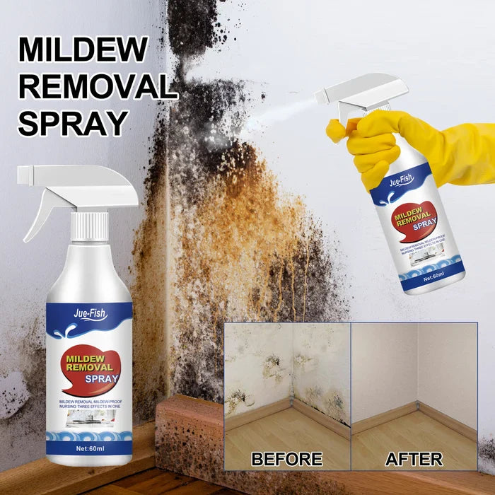 🔥VENTA CALIENTE 45% DE DESCUENTO🔥Spray Eliminador de Moho de Alta Eficacia - Previene la Reaparición de Moho 