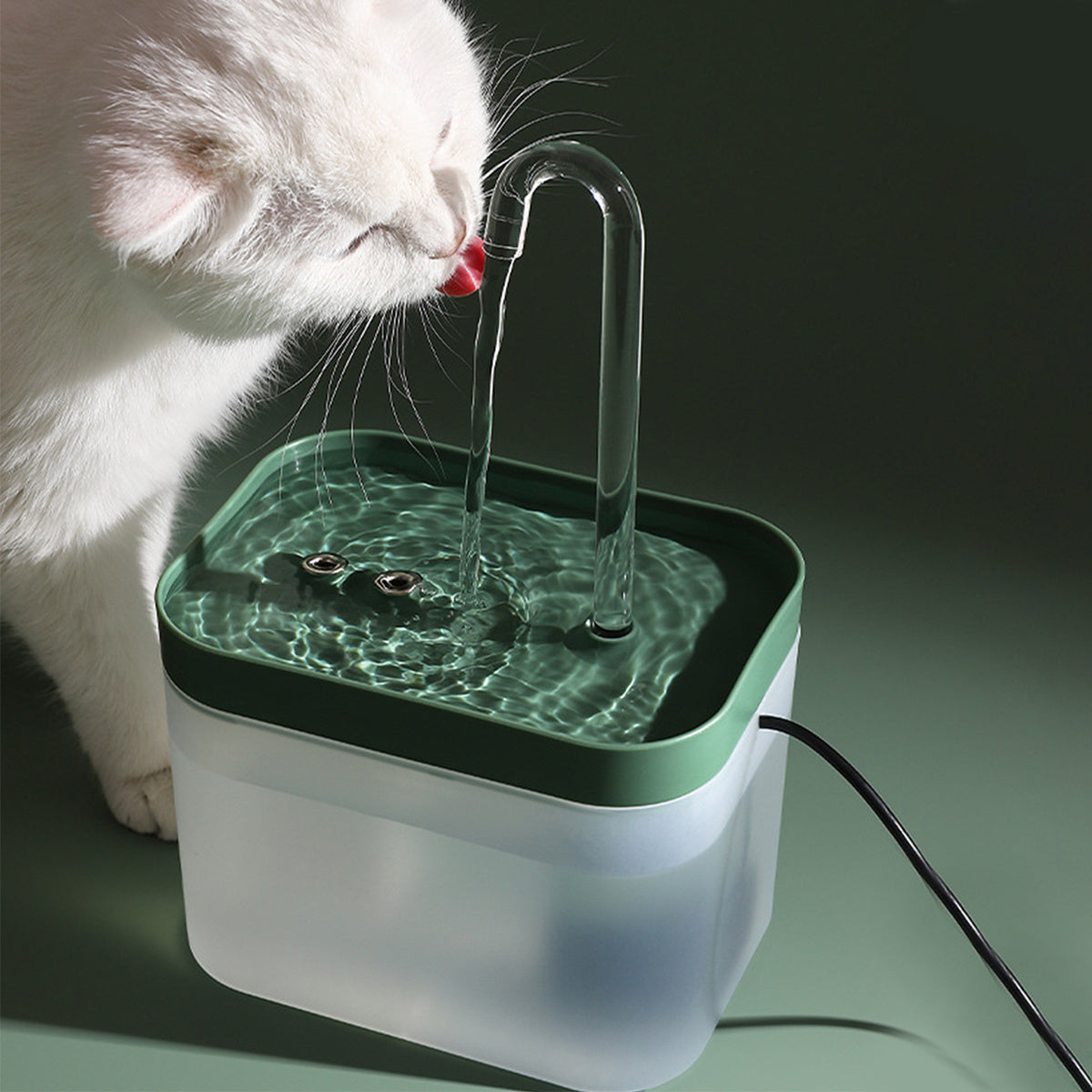 Fuente de agua automática para perros y gatos de interior 